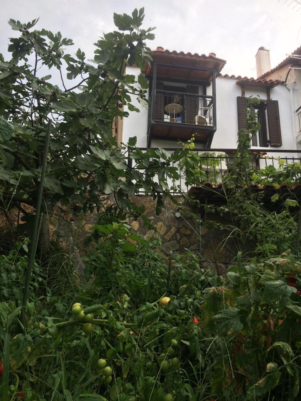 Gourgiana Apartments 안드리차이나 외부 사진